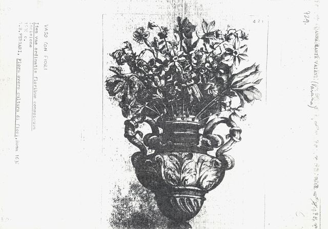 Anonimo — Vaiani Anna Maria - sec. XVII - Natura morta con vaso di fiori — insieme